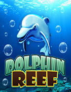 918kiss plus สมัคร: วิธีเล่นเพื่อทำกำไร