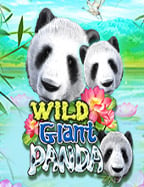 เคล็ดลับสูตร เกม pg สำหรับนักพนันมืออาชีพ