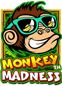 เว บ sbobet ด ไหม? มาดูวิธีเล่นกันเถอะ